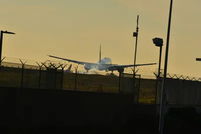 DSC_5714 (Large).JPG